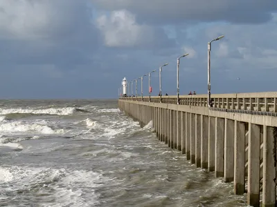 Harbor and Jetty Construction